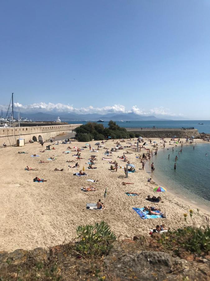 Antibes Tres Belle Situation !アパートメント エクステリア 写真